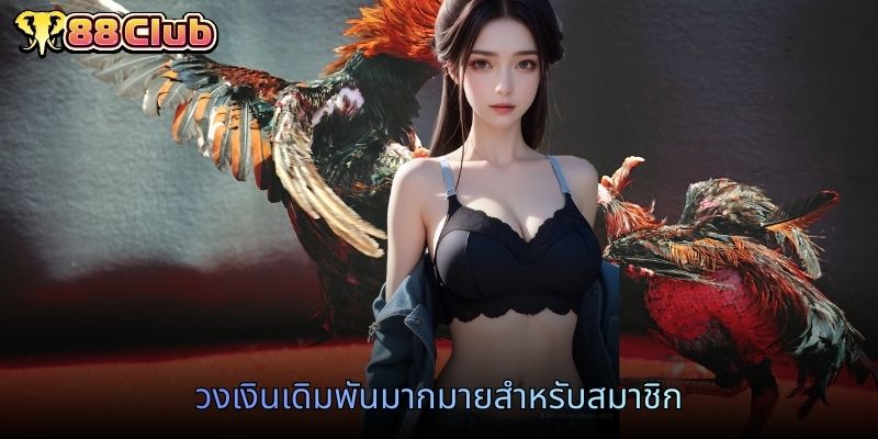 วงเงินเดิมพันมากมายสำหรับสมาชิก